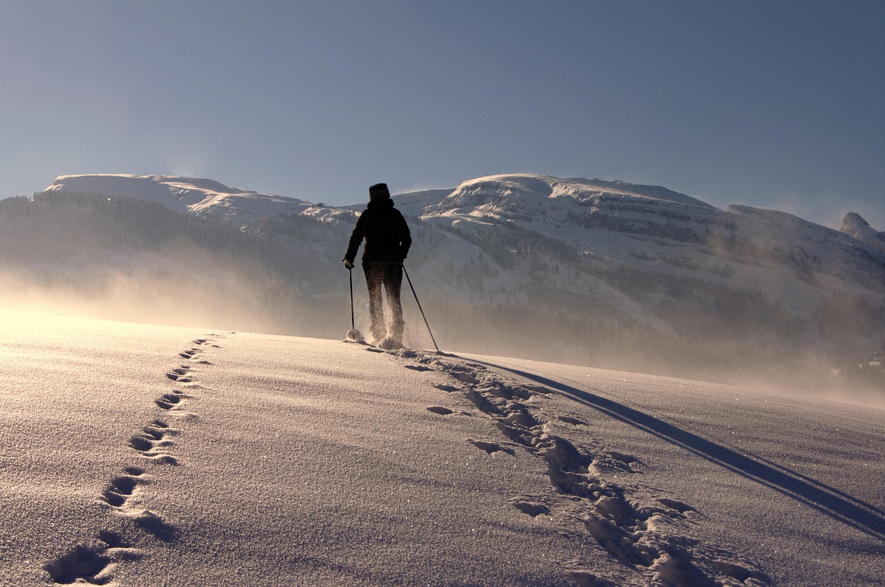 guide complet pour la randonnée en montagne pour débutants : conseils, équipements essentiels et parcours faciles pour une première aventure réussie en pleine nature.