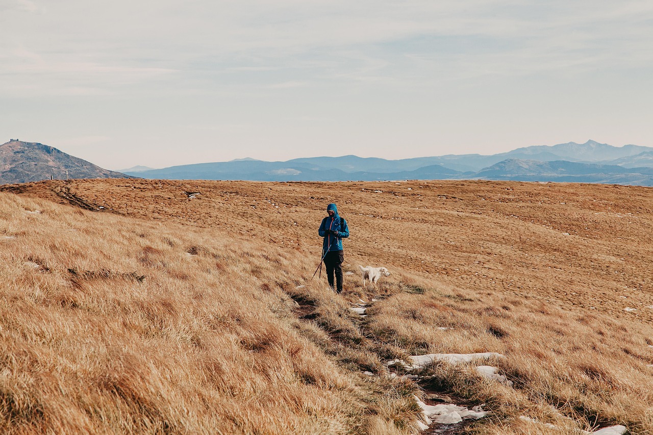 découvrez tout ce qu'il faut savoir sur le backpacking : conseils, astuces et guides pour voyager léger, explorer le monde et vivre des aventures inoubliables avec un sac à dos.