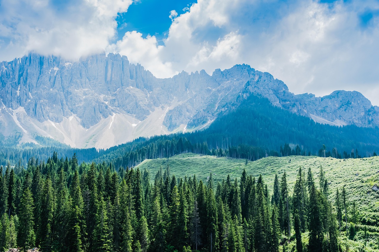 découvrez l'écotourisme : voyage responsable et durable, respectueux de la nature et des cultures locales, pour des expériences authentiques et enrichissantes.