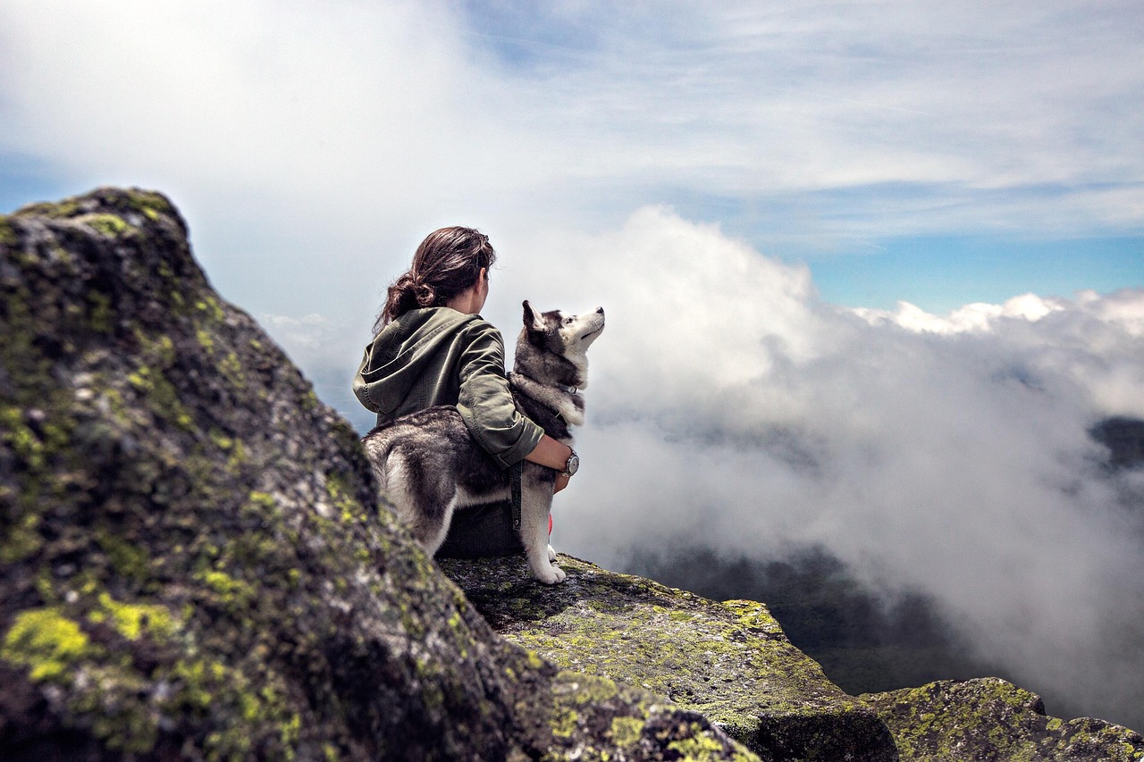 découvrez tous les conseils et astuces pour réussir votre voyage en backpacking : itinéraires, équipements indispensables, budget et destinations incontournables pour une aventure inoubliable.